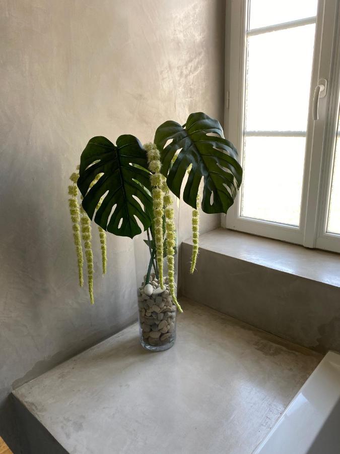 Le Logis Gout Carcassonne